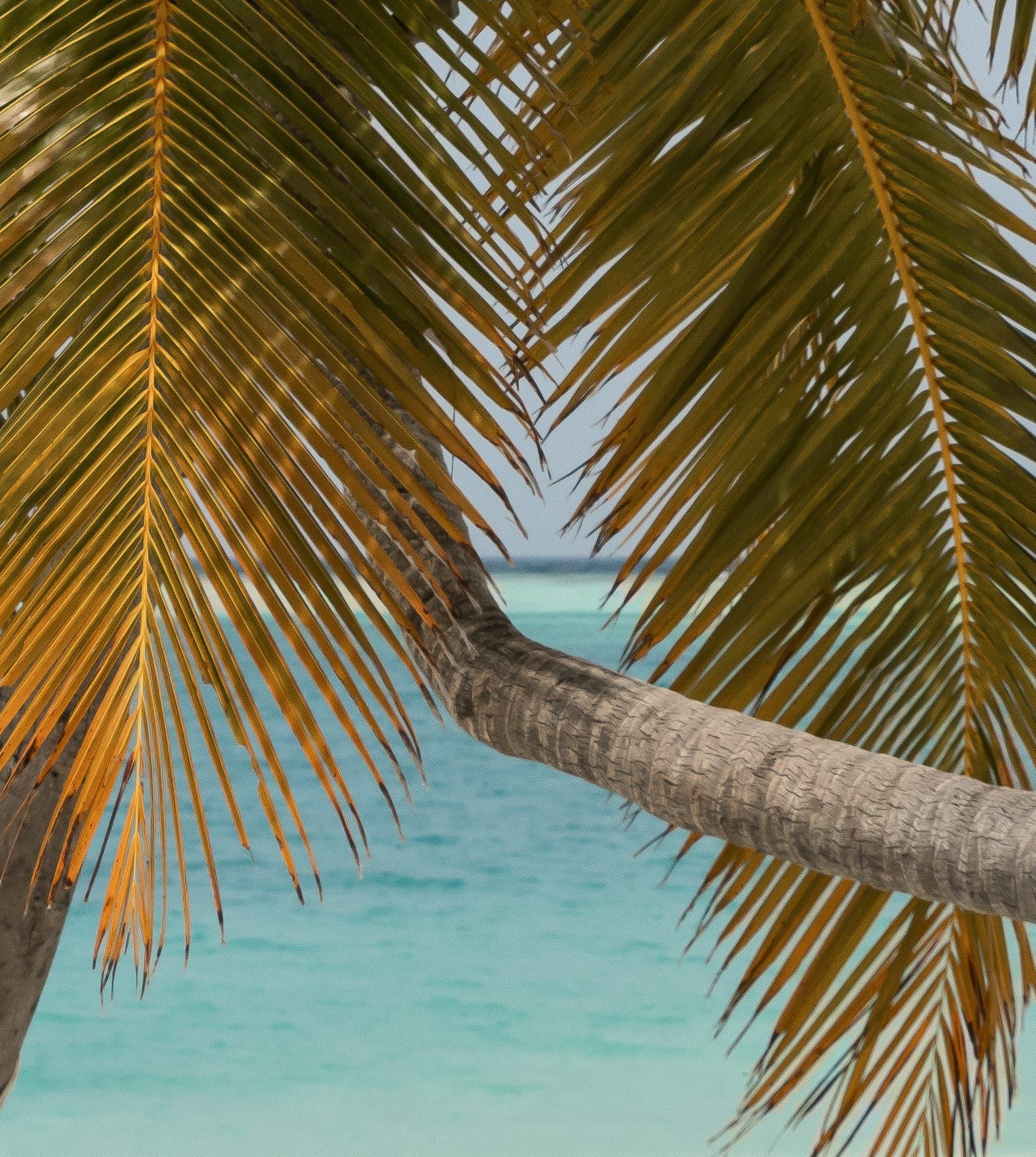 Sun Siyam Vilu Reef — hero